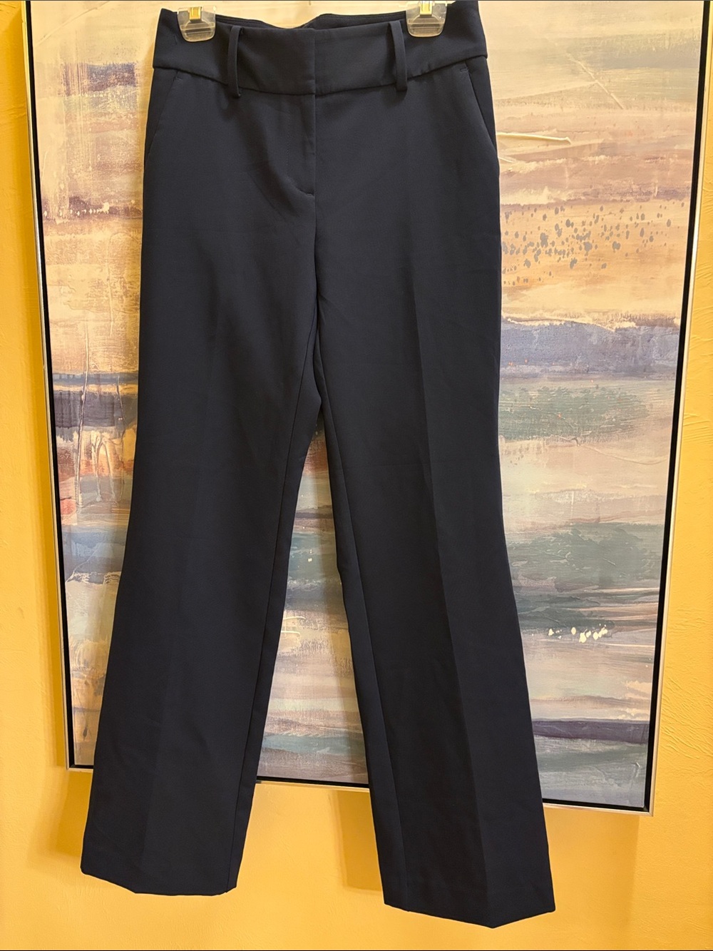 Ann Taylor Factory Navy Dress Pants